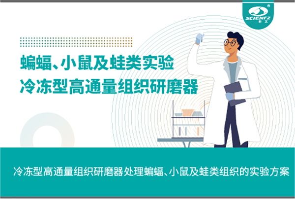 冷凍型高通量組織研磨器處理蝙蝠、小鼠及蛙類組織的實驗方案