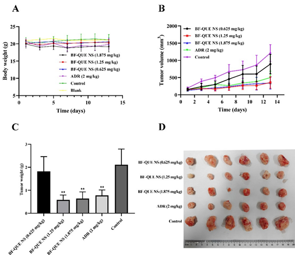微信圖片_2026-01-22_133715_192